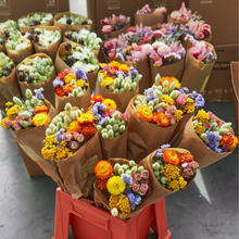 Load image into Gallery viewer, Dried Flowers - Market More - Multi