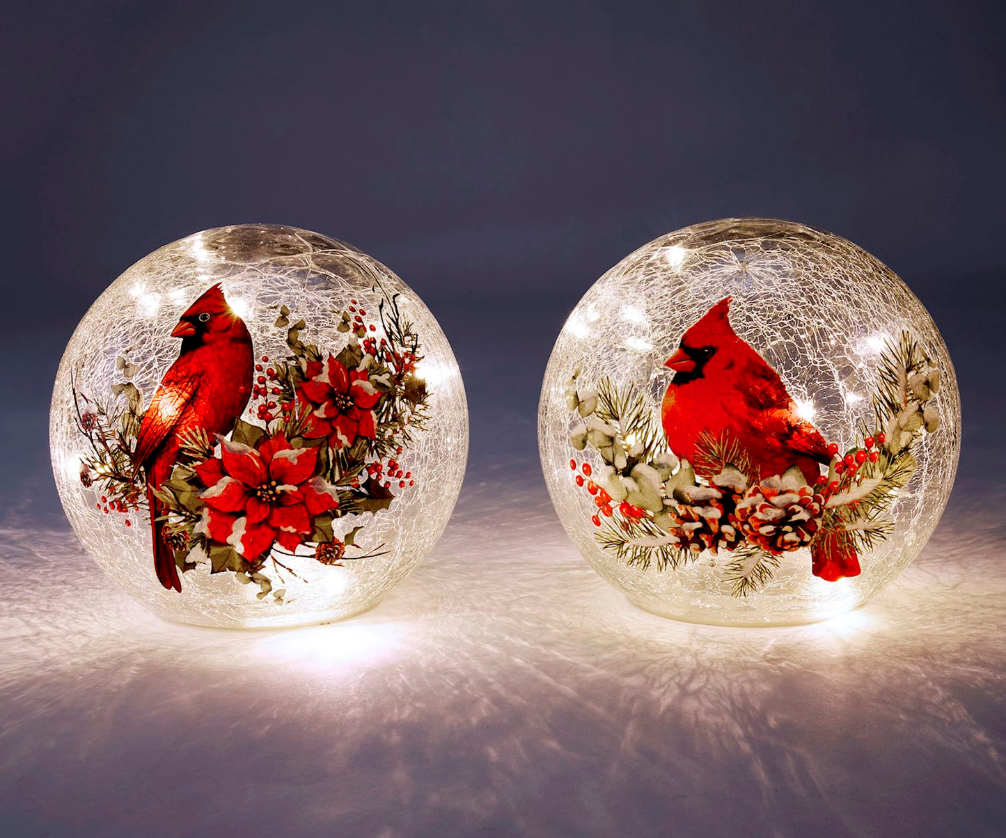 LED Glass Decor w/Cardinal