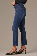 Load image into Gallery viewer, Logan High Rise Vintage Skinny Jean