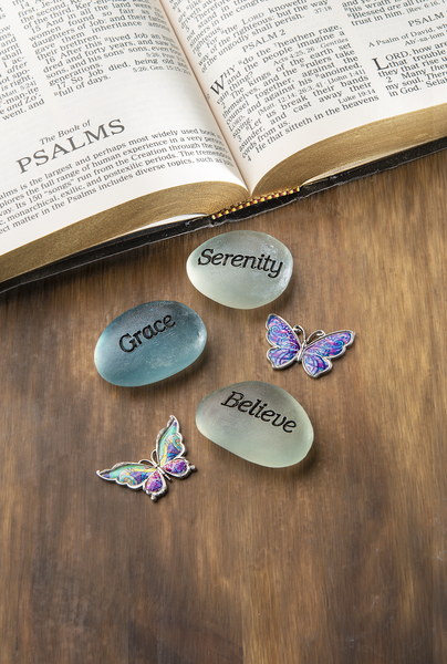 Butterfly Charms