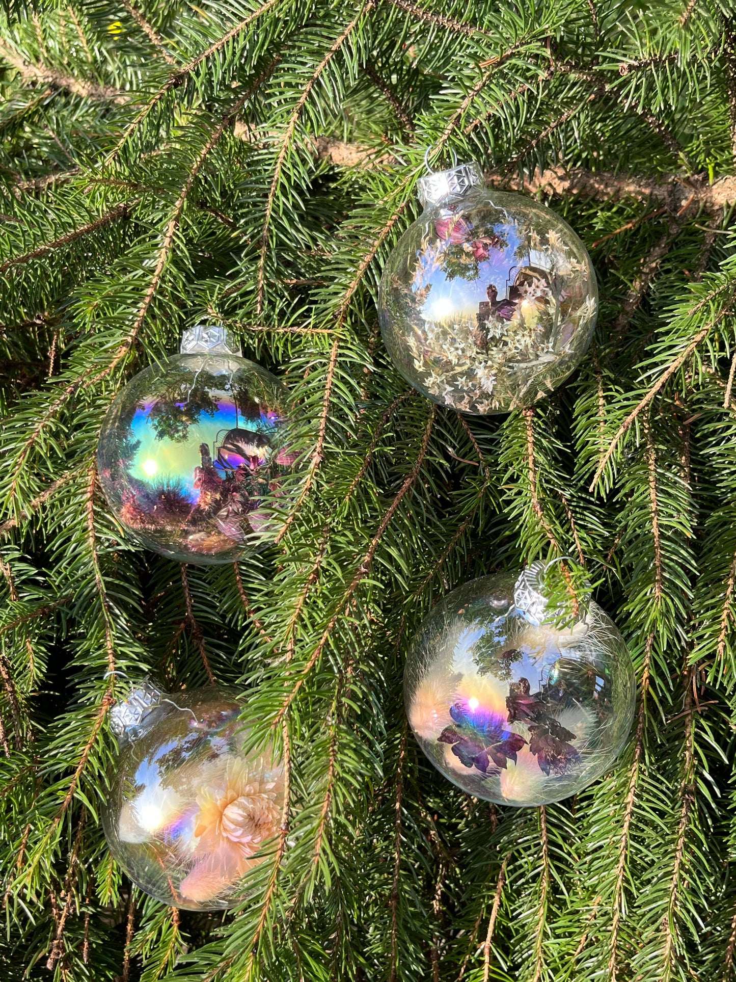 Dried flowers glass christmas ball in burgandy and whites