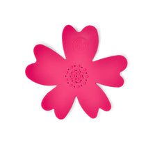 Load image into Gallery viewer, FinchBerry - Rosey Posey Valentine's Day Gift Set