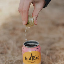 Load image into Gallery viewer, Draft Top Lift