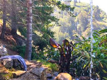 Load image into Gallery viewer, The Simple Teema Towel