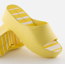 Load image into Gallery viewer, Solis SALE