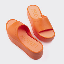 Load image into Gallery viewer, Sunny