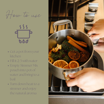 Be Merry & Bright Simmer Pot Mix