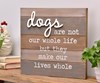 Dog Design Desk Block