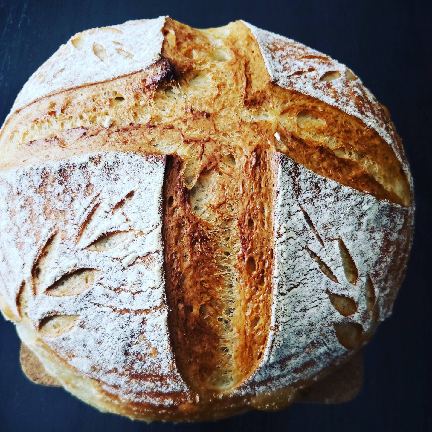 Summit Sourdough - 130 Year Old Summit Sourdough Starter Kit