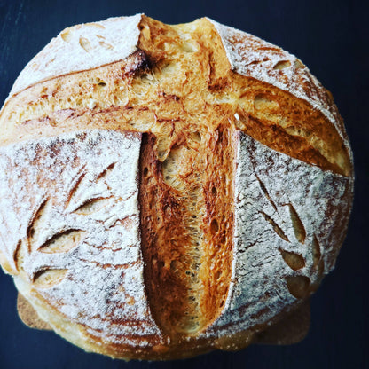 Summit Sourdough - 130 Year Old Summit Sourdough Starter Kit