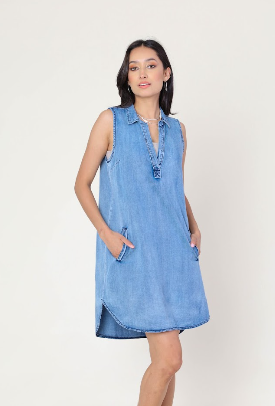 Liz Denim Dress