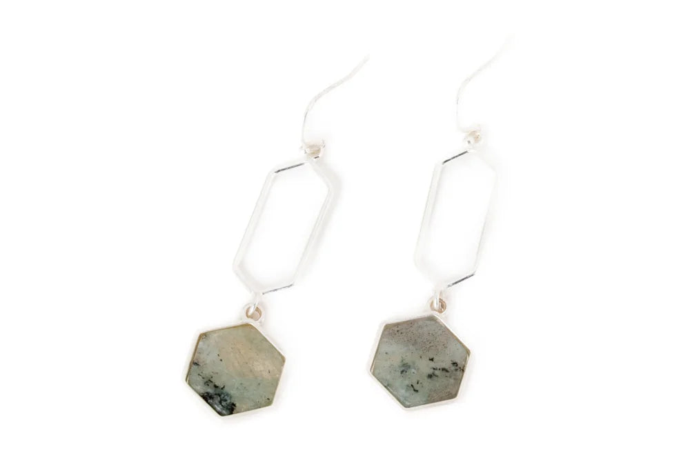 Earrings 2560