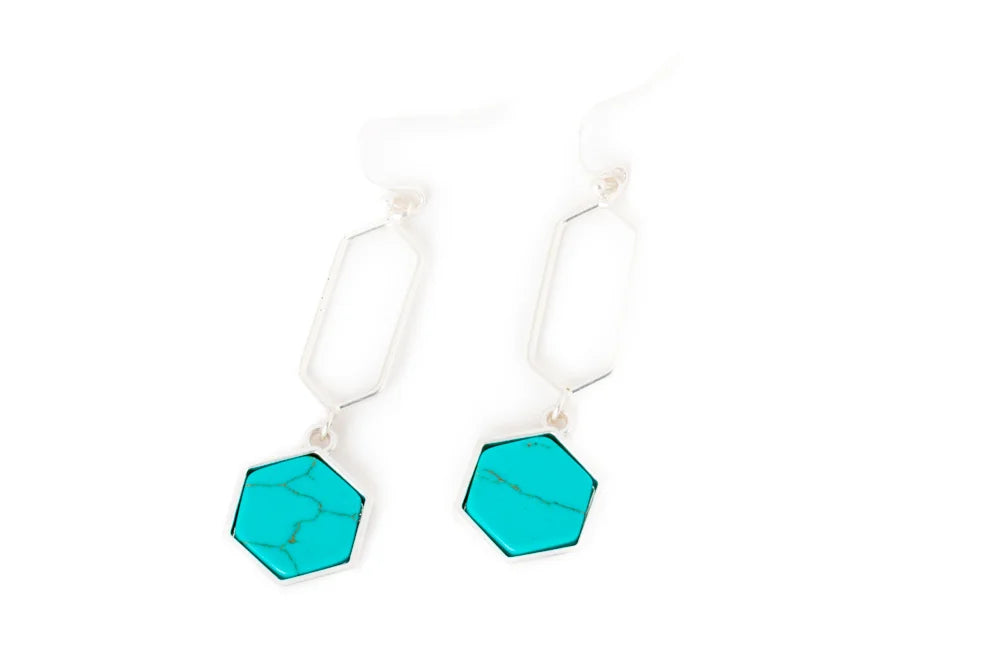 Earrings 2560
