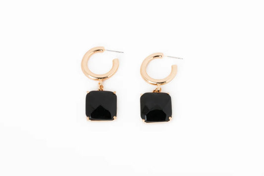 Earrings 2561