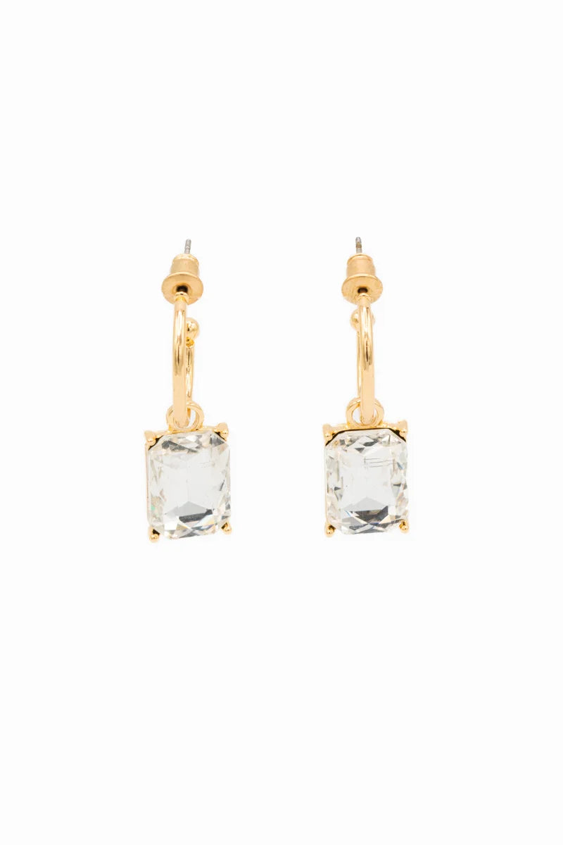 Earrings 2591