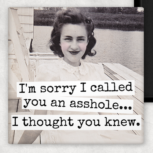 Funny Magnet. I'm Sorry I Called You An Asshole...