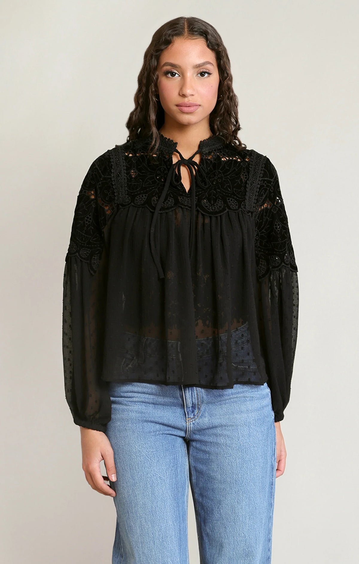 Sheer Lace Blouse 2823727