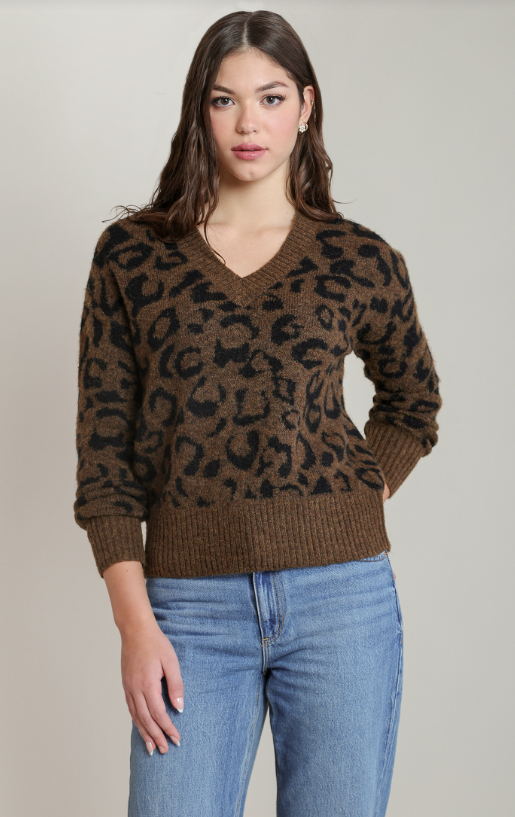 Leopard V-Neck Sweater 2827036