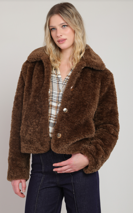 Faux Fur Coat 2829506