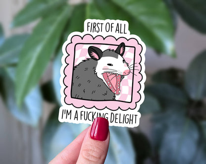 Sticky Moods - I’m a F*cking Delight Opossum Sticker Funny Vinyl Sticker