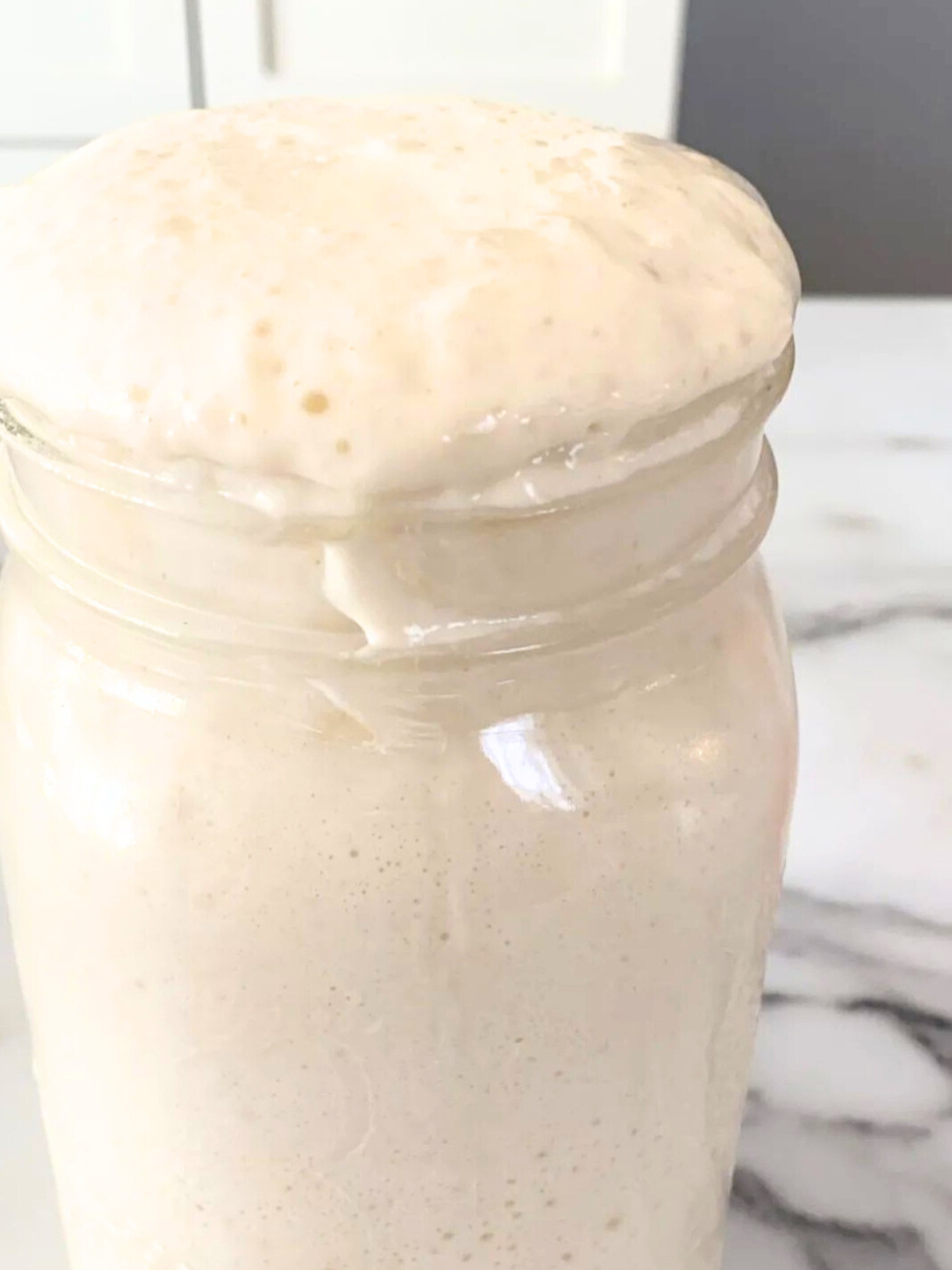 Summit Sourdough - 130 Year Old Summit Sourdough Starter Kit