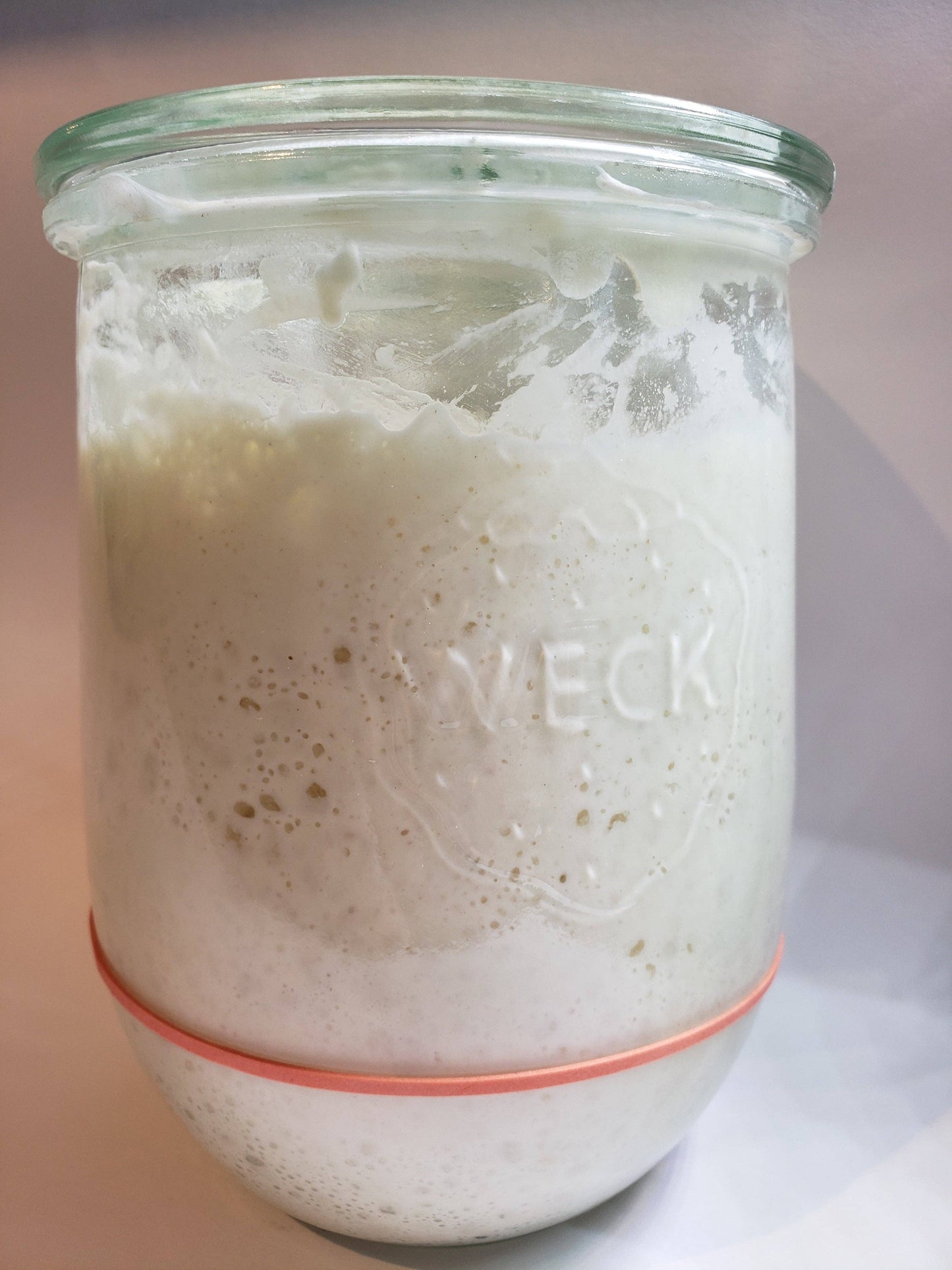Summit Sourdough - 130 Year Old Summit Sourdough Starter Kit