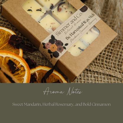 Fall Trio Wax Melts