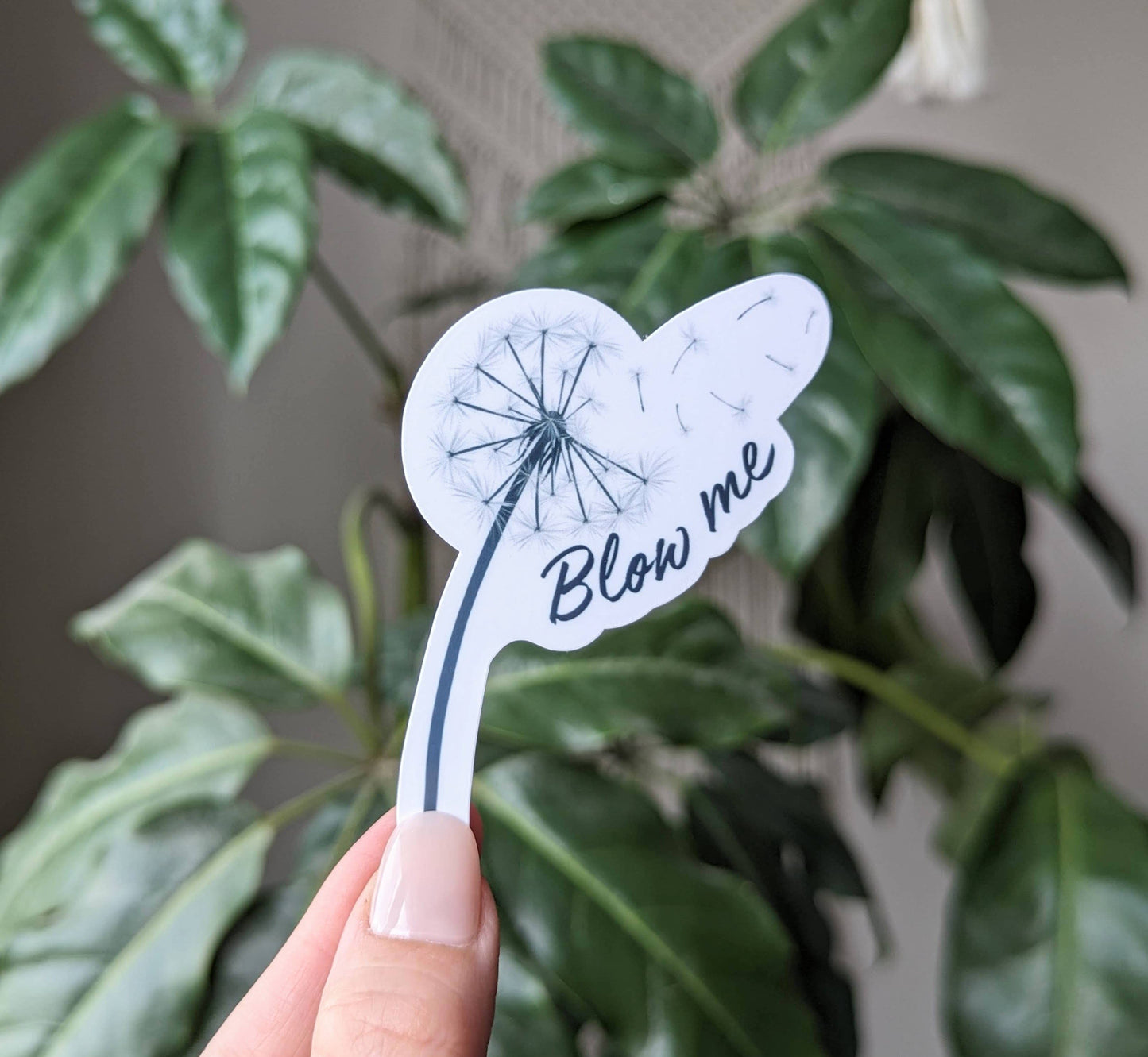 Sticky Moods - Blow me vinyl sticker, funny adult dirty sticker