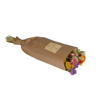 Dried Flowers - Market More - Multi