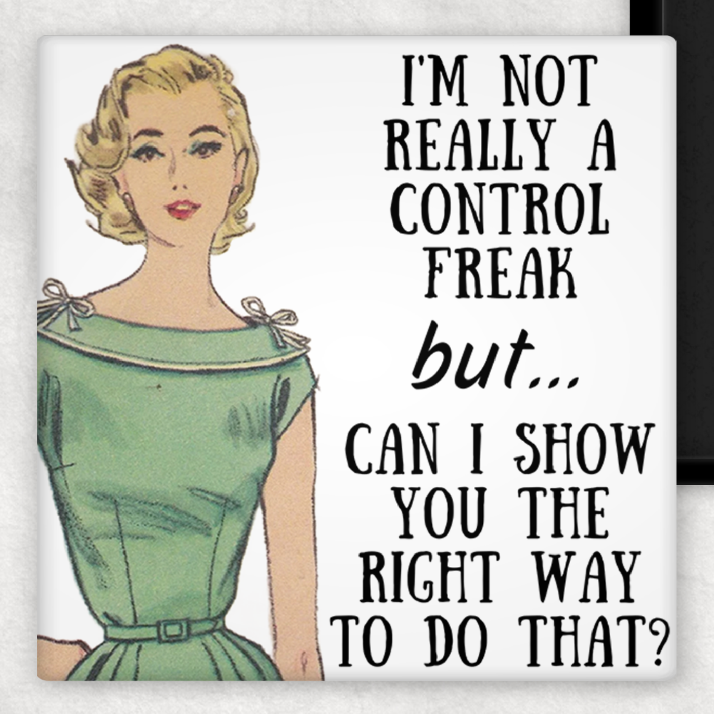 Raven's Rest Studio - MAGNET. I'm Not Really A Control Freak But...