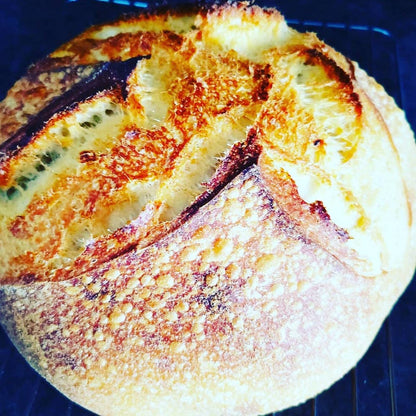 Summit Sourdough - 130 Year Old Summit Sourdough Starter Kit