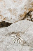 Beaming Brightly Necklace