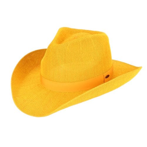 Cowboy Hat