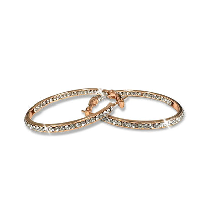 Earring 30mm Round Crystal Hoop Earrings