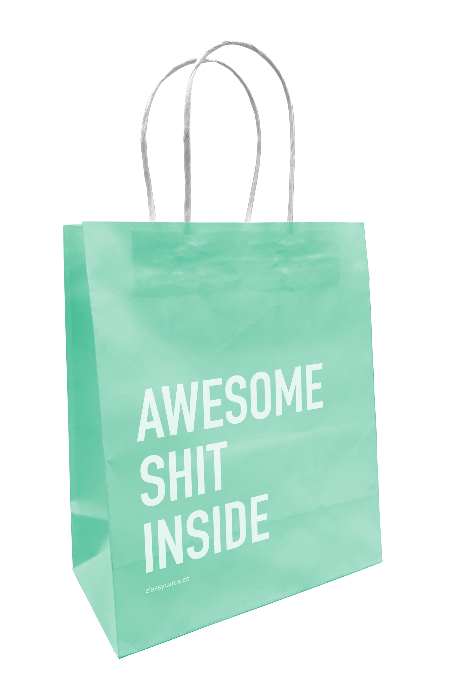 Paper Gift Bags