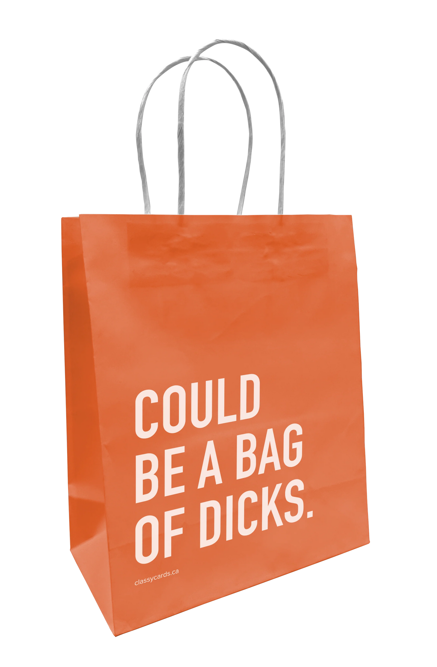 Paper Gift Bags