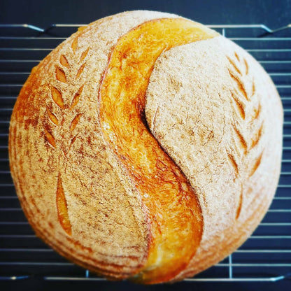 Summit Sourdough - 130 Year Old Summit Sourdough Starter Kit
