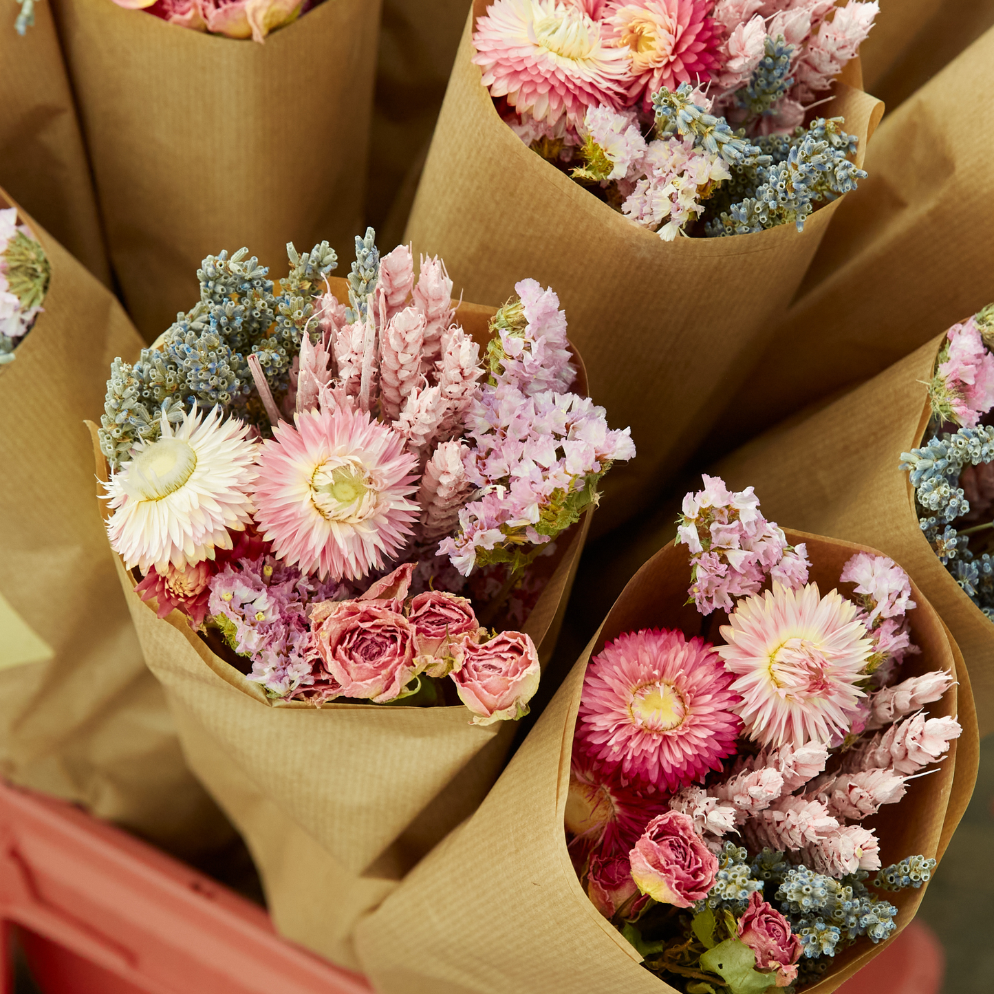 Dried Flowers - Market More - Pink