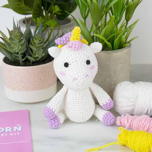 Crochet Kit