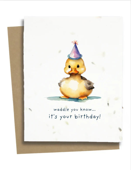 Cute Duckling Birthday Card - CDC