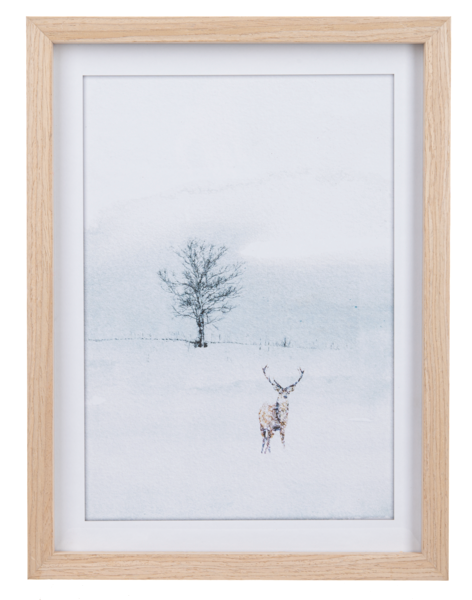 Framed Winter Deer Wall Decor