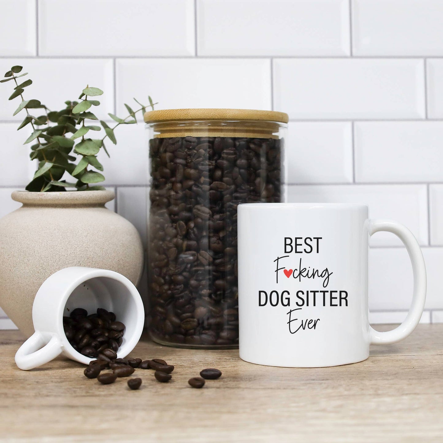 Best Fucking Dog Sitter Ever Mug: 15 Ounce