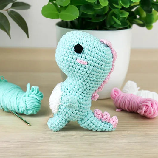 Crochet Kit