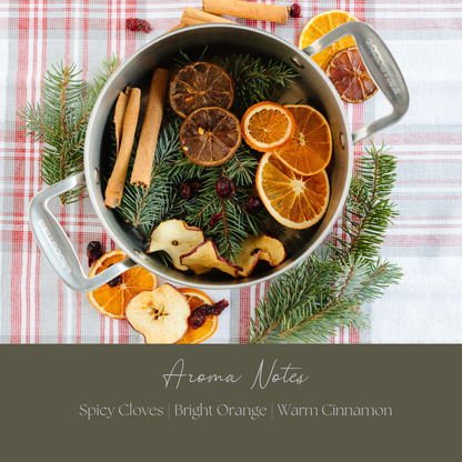 Be Merry & Bright Simmer Pot Mix