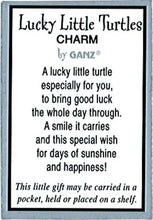 Load image into Gallery viewer, Lucky Little Turtle Charms

