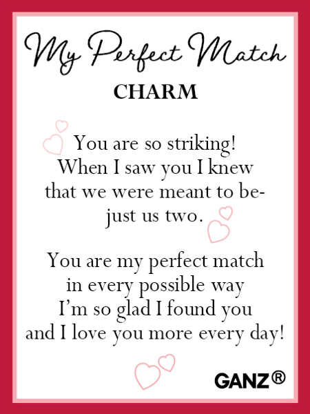 My Perfect Match Charm