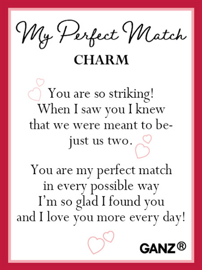 My Perfect Match Charm