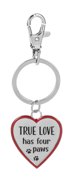 Pawfect Match Pet Tag & Keychain
