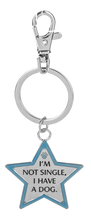 Load image into Gallery viewer, Pawfect Match Pet Tag &amp; Keychain
