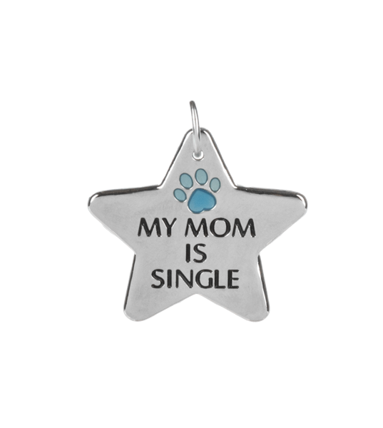 Pawfect Match Pet Tag & Keychain